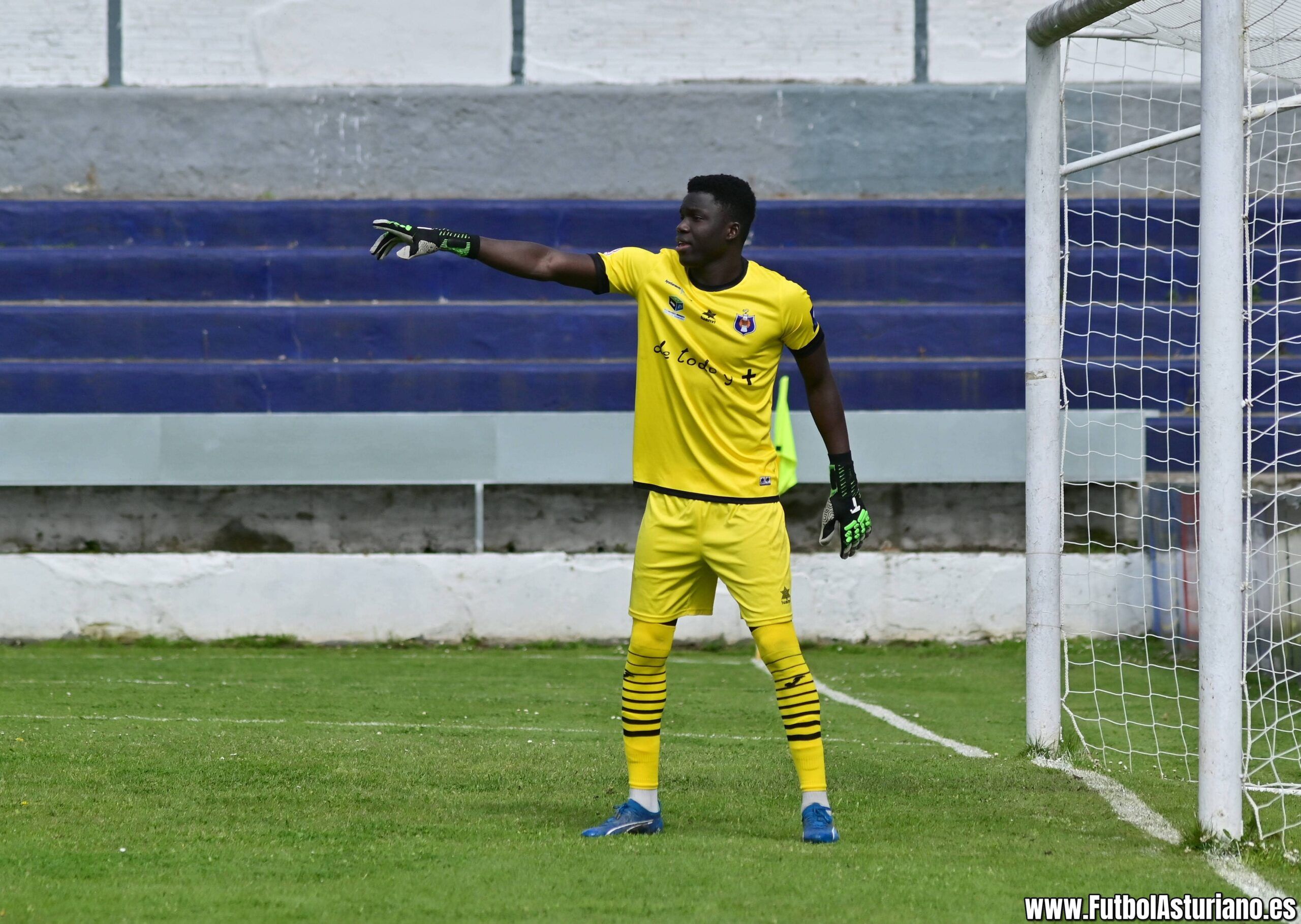 DIOP COMPLETA LA PORTERÍA VERDIBLANCA